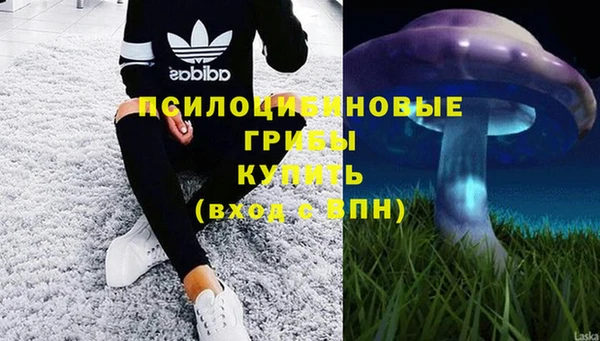 бутират Богородицк
