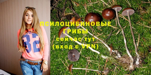 бутират Богородицк