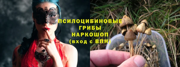 бутират Богородицк